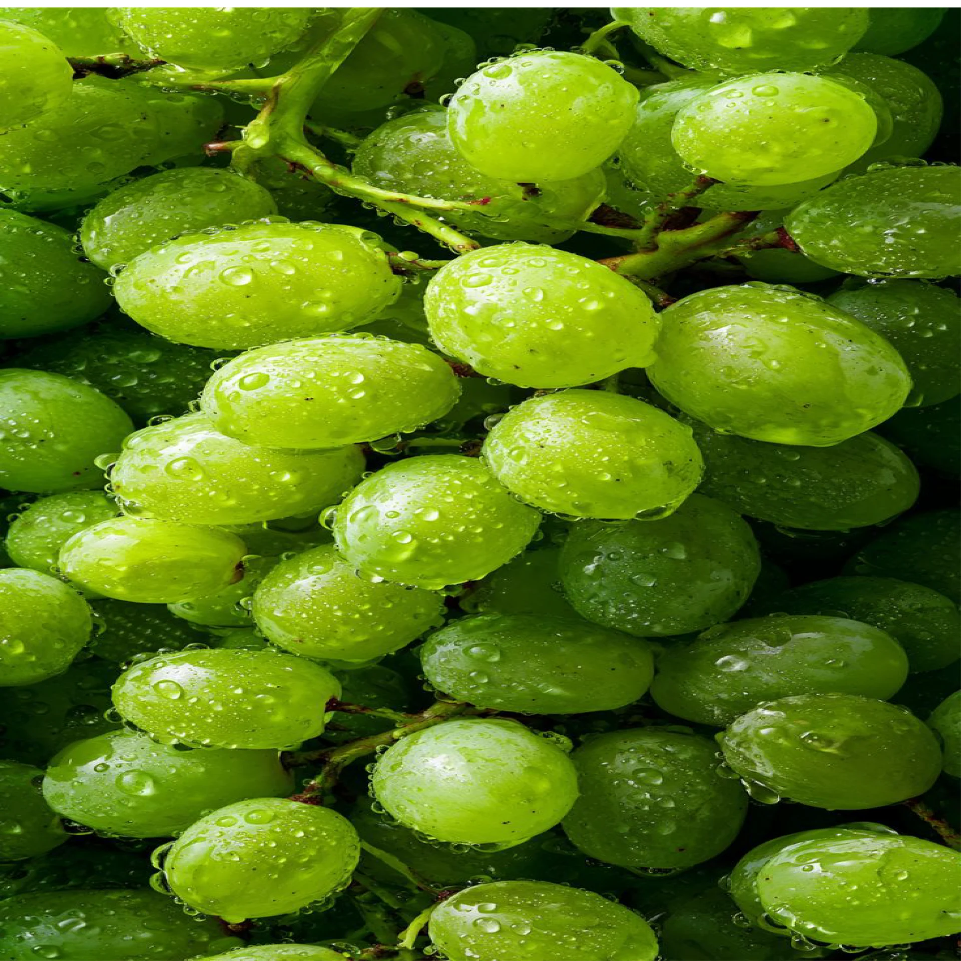 عنب أخضر